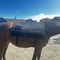 //jlrorwxhjpnrlq5p.ldycdn.com/cloud/ljBprKrjlpSRklmjqipjkq/T500-horse-red-light-therapy-mat-zhutu.jpg