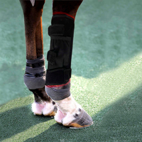 //jlrorwxhjpnrlq5p.ldycdn.com/cloud/lkBprKrjlpSRklmjpipjkq/T480-K2-horse-red-light-therapy-leg-wrap-peitu14.jpg
