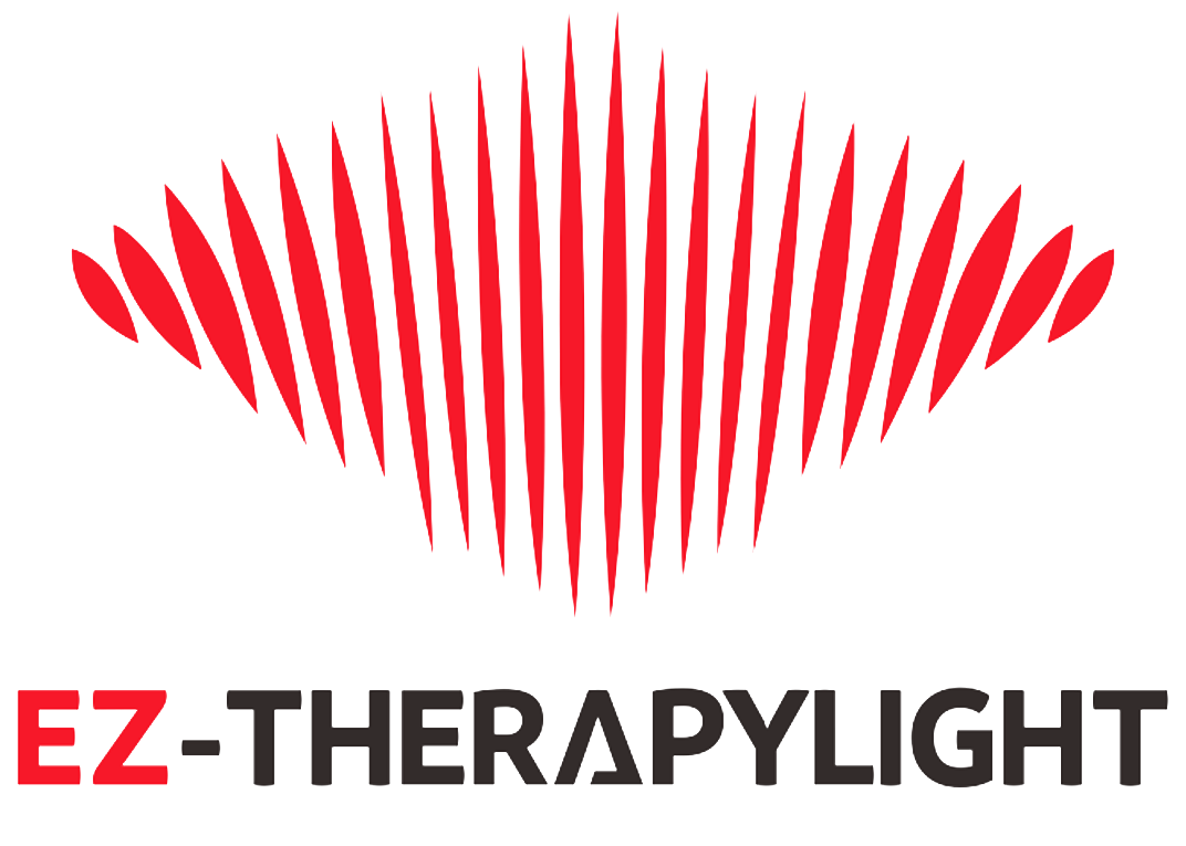 EZ Team Logo